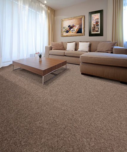 Carpete Limpo